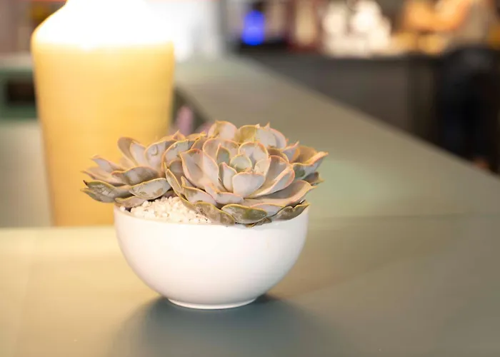 Maria Luisa By Introvert