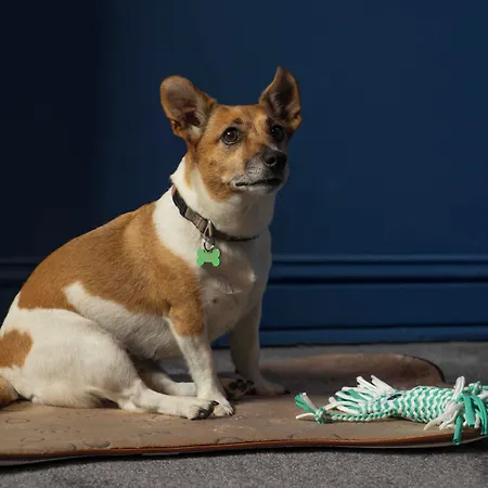 Maria Luisa By Introvert ホテル 4*