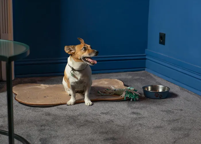 Maria Luisa By Introvert