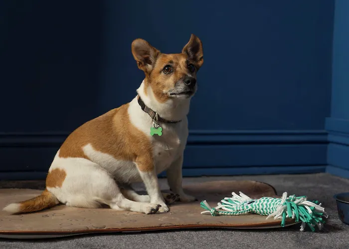 Maria Luisa By Introvert Hotel 4*