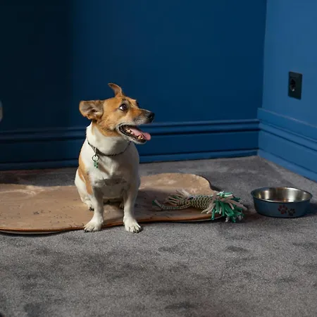 Maria Luisa By Introvert